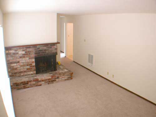 Living room with fireplace