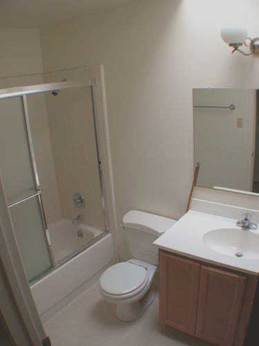 Bathroom with new cabinet, sink & faucet