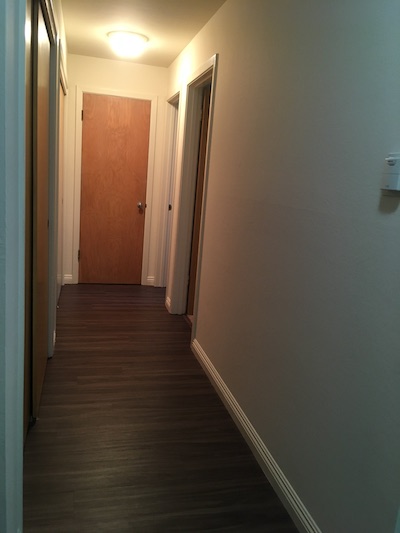 Three closets in hallway