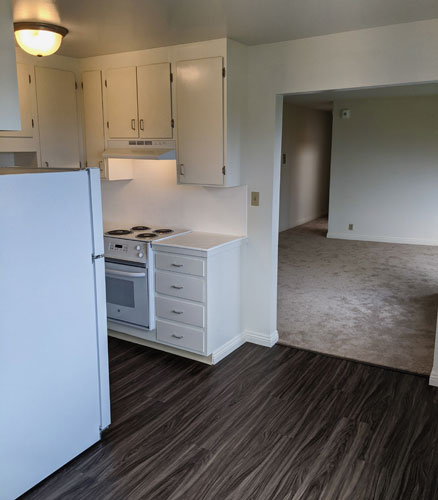 Kitchen with new plank flooring