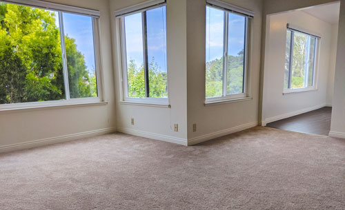 Living room and kitchen