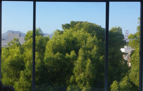 View to north from living room and kitchen, Golden Gate Bridge in the distance