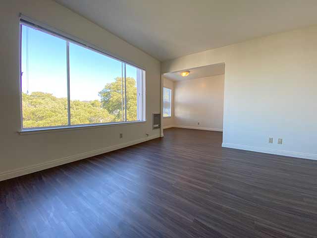 Living room and kitchen