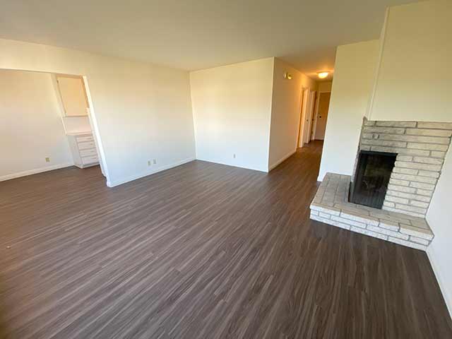 Living room and kitchen