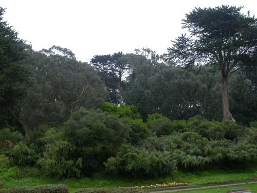 View of Buena Vista Park from front of building