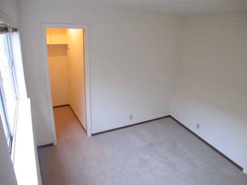 Master bedroom with walk-in closet