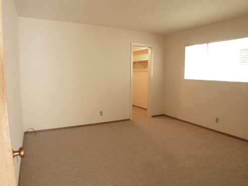 Bedroom with walk-in closet