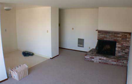 Living room with fireplace