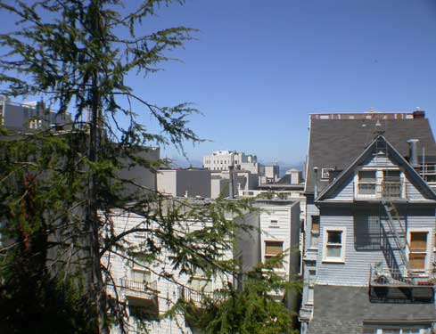 View from kitchen