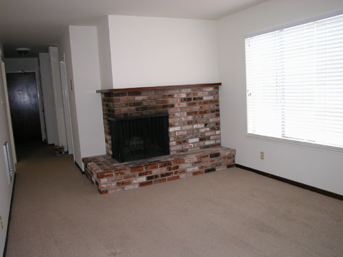 Living room with fireplace