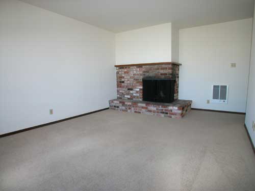 Living room with fireplace