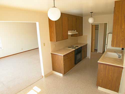 Kitchen, living room, and dining area