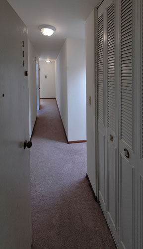 Entry with hallway closets