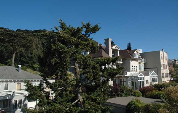 Buena Vista Park view from bedroom