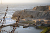 Link to website for Sutro Baths